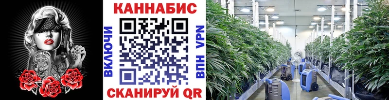 Конопля SATIVA & INDICA  Купить  Бирск 